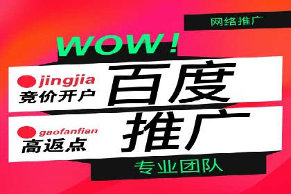 行业案例分析：sem账户托管的成功与挑战